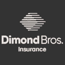 DimondBros Logo Embroidered on a New Era® - Shadow Stretch Mesh Cap Design